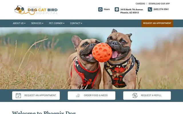 Homepage of Phoenix Dog Cat Bird Hospital – cat vet in Phoenix, AZ