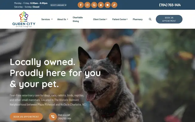 Homepage of Queen City Animal Hospital – cat vet in Charlotte, NC
