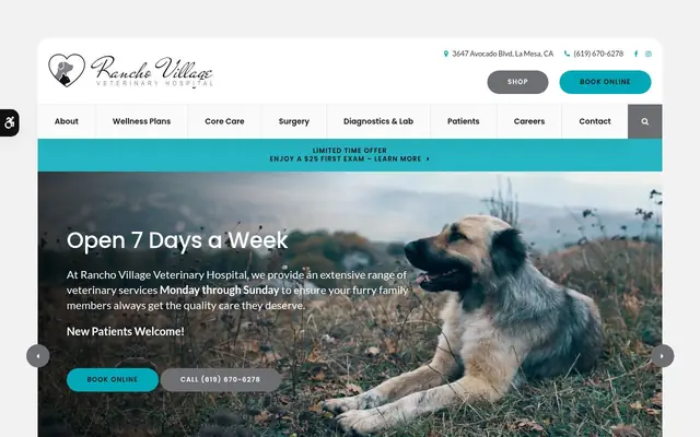 Homepage of Rancho Village Veterinary Hospital – cat vet in La Mesa, CA