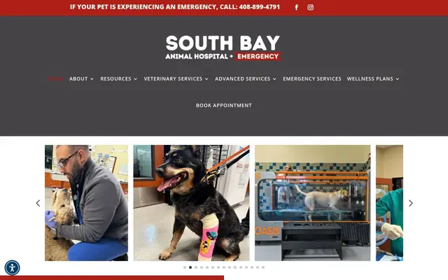 Homepage of South Bay Animal Hospital & Emergency – cat vet in San Jose, CA