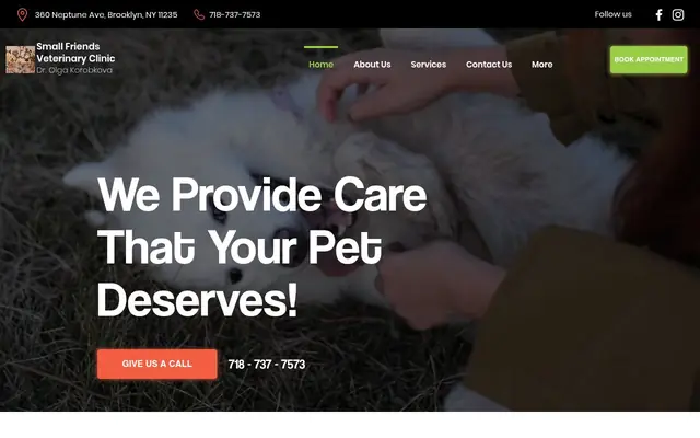 Homepage of Small Friends Veterinary Clinic dr. Olga Korobkova – cat vet in Brooklyn, NY
