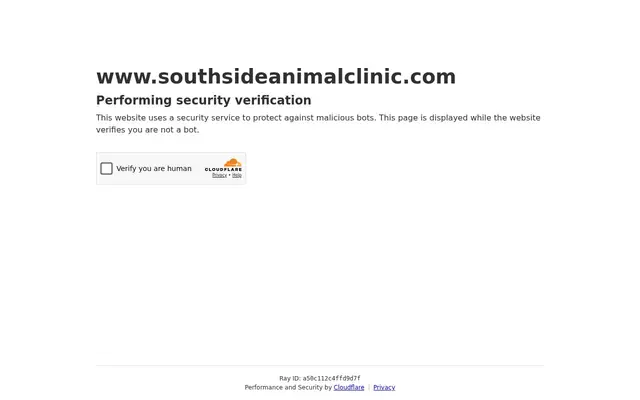 Homepage of Southside Animal Clinic – cat vet in Jacksonville, FL