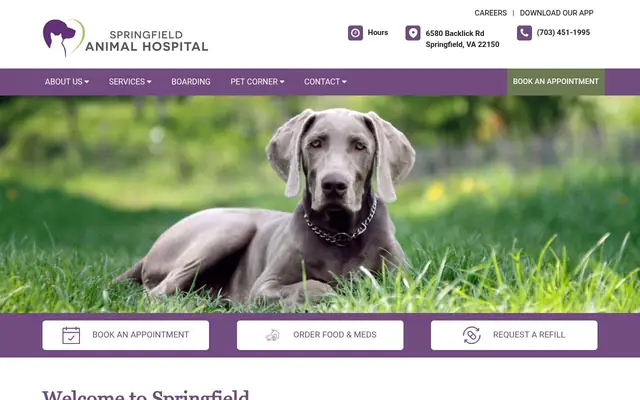 Homepage of Springfield Animal Hospital – cat vet in Springfield, VA