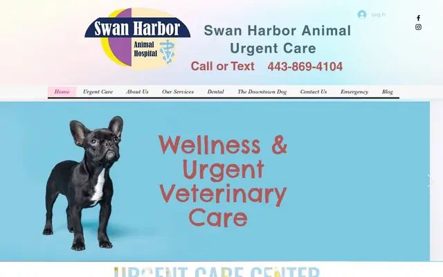 Homepage of Swan Harbor Animal Hospital – cat vet in Baltimore, MD