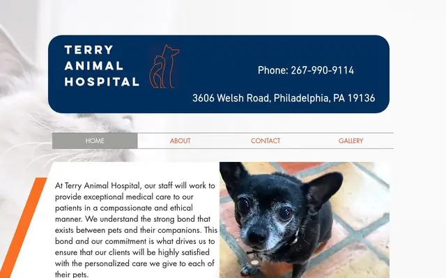 Homepage of Terry Animal Hospital – cat vet in Philadelphia, PA