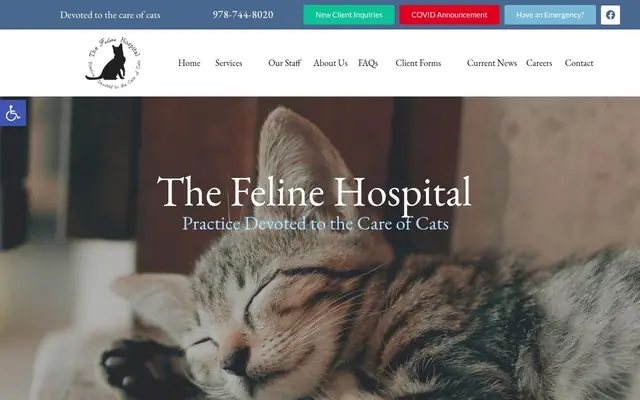 Homepage of Feline Hospital – cat vet in Salem, MA