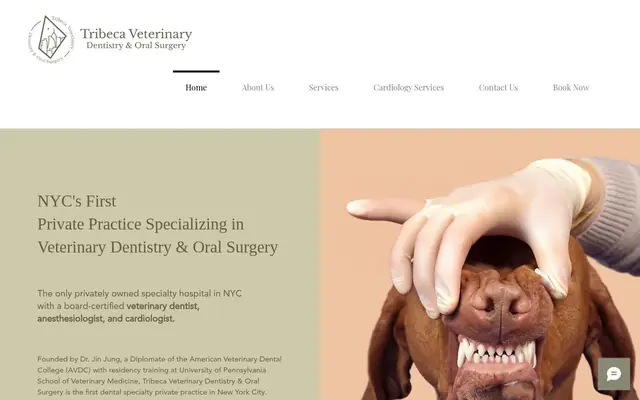 Homepage of Tribeca Veterinary Dentistry – cat vet in New York, NY