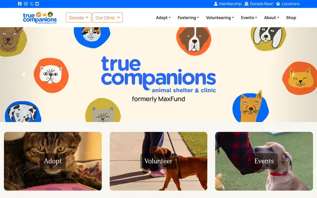 Homepage of True Companions Veterinary Clinic – cat vet in Denver, CO
