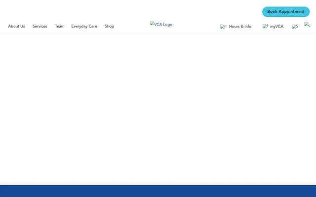 Homepage of VCA Adams Animal Hospital – cat vet in Athol, MA