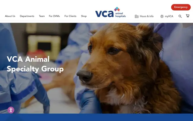 Homepage of VCA Animal Specialty Group – cat vet in Los Angeles, CA