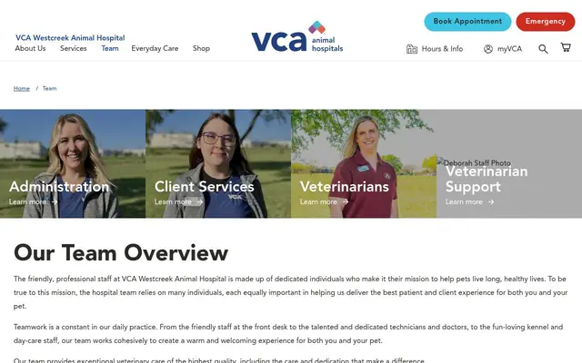 Homepage of Hendon Paul – cat vet in Fort Worth, TX