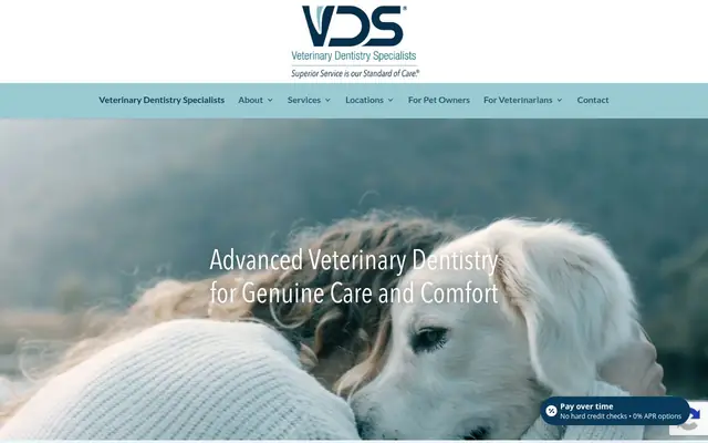 Homepage of Veterinary Dentistry Specialists – cat vet in Chadds Ford, PA