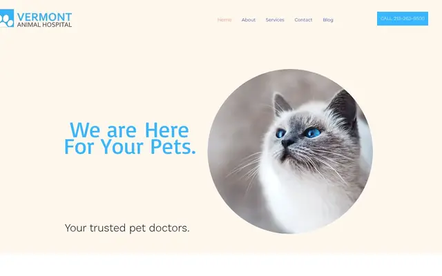 Homepage of Vermont Animal Hospital – cat vet in Los Angeles, CA