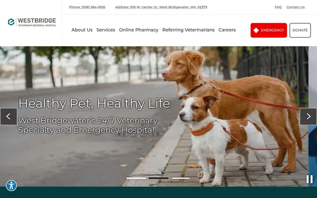 Homepage of Westbridge Veterinary Referral Hospital – cat vet in West Bridgewater, MA