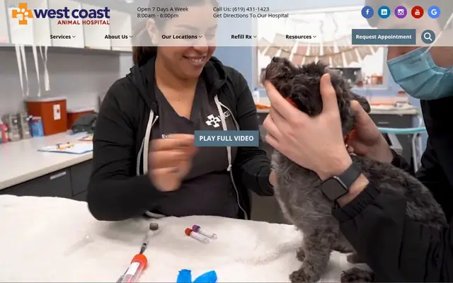 Homepage of West Coast Animal Hospital – cat vet in San Diego, CA