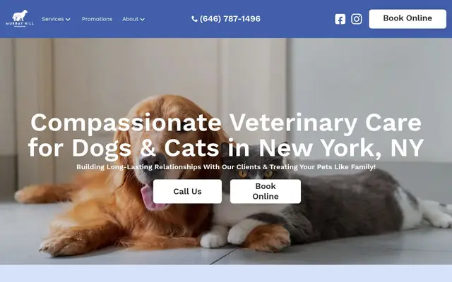 Homepage of Murray Hill Pet Hospital – cat vet in New York, NY
